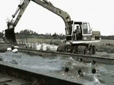 姑娘|搞笑GIF趣图:姑娘表情真的好醉人,我承认我被迷住了