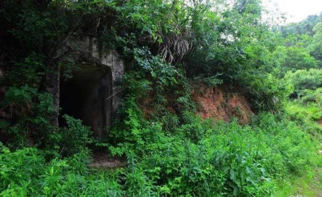 风林|风林：被盗的黄丕烈墓