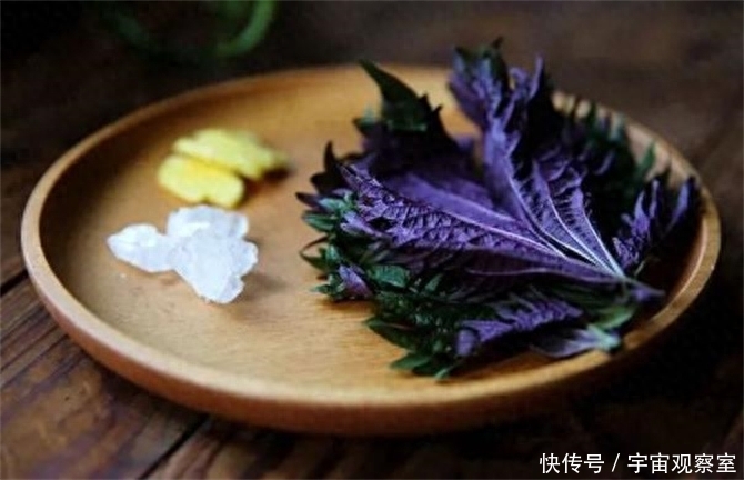 紫苏叶加生姜泡水喝的功效(紫苏叶加生姜泡水喝，老一辈人的养生秘诀，很多人都不知道)