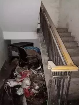 海安路瑞竹|看着都让人脸红！不文明“随手拍”第一期曝光！