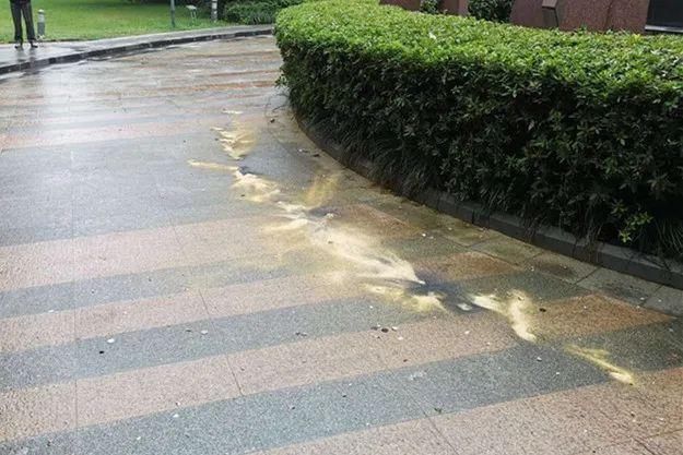 违法|罚!无锡2人违法燃放烟花爆竹被抓“现行”