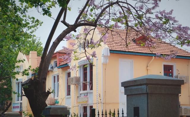 快乐|我在青岛做了这10件小事,找回了久违的快乐