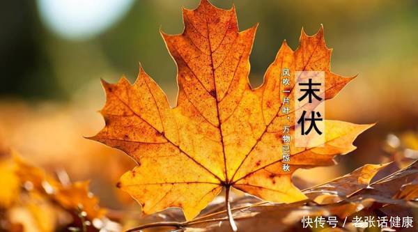 伏天要多吃三样(末伏到，入秋了要懂忌嘴，建议：少吃3样，不做3事，常食3味)