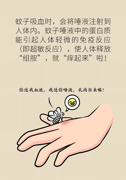 吵得|被蚊子吵得睡不着?四招帮你摆脱烦