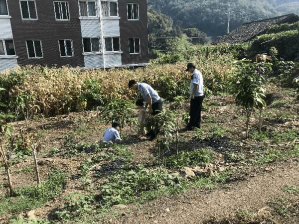  报警|急疯了！盐边一快递员手机丢了，报警后结果很意外……