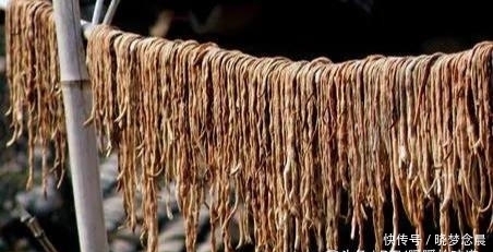 茄子|4种夏季食材,晒干后比新鲜的好吃10倍!放一年都不坏