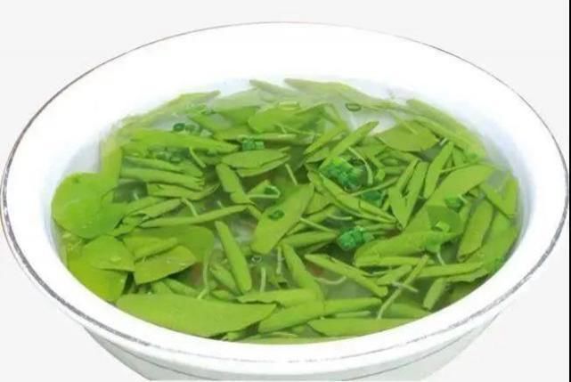 大树杜鹃|山上的雪莲，说摘就摘？