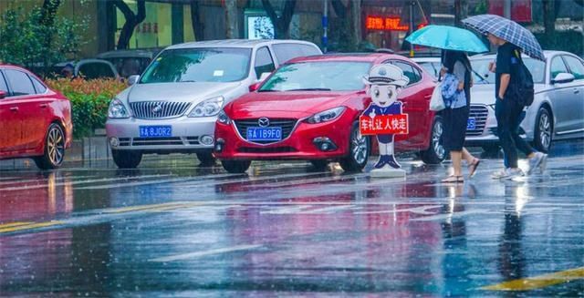  违法行为|机动车礼让率达94.4% 文明礼让成南京最亮底色