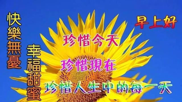  期六|有些人事，看不清会纠结，看清了会心痛。早安