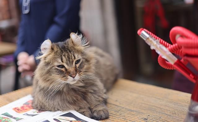 EOS|摄影摄像全能的干活利器 佳能EOS R5微单相机评测