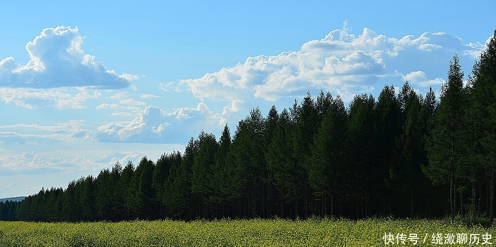  诗人|17岁的白居易参加科举考试，写下平生得意之作，震惊了大唐文坛