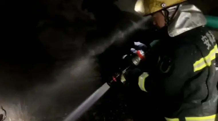  小狗|蒙城：这条小狗居然成了“纵火犯”