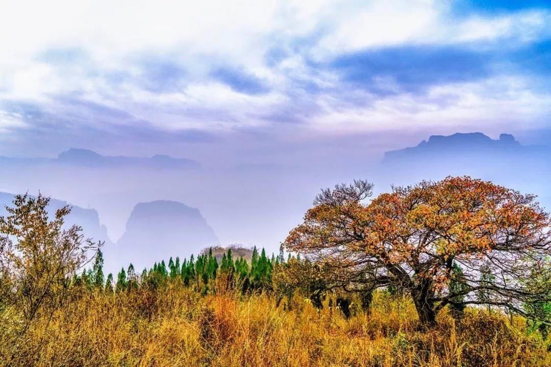  景区|王莽岭景区看点