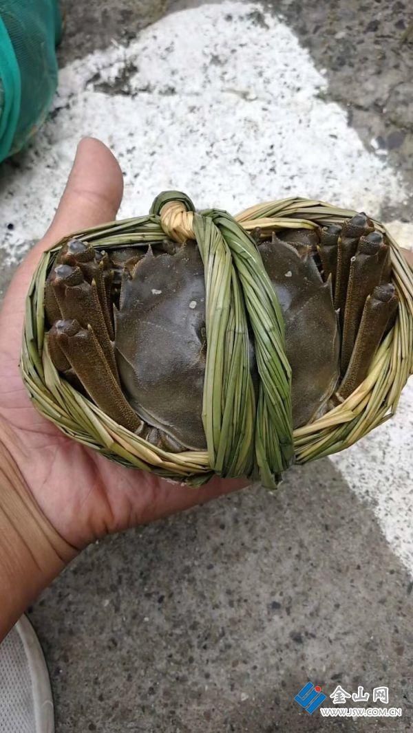 地产|地产螃蟹销售渐入佳境