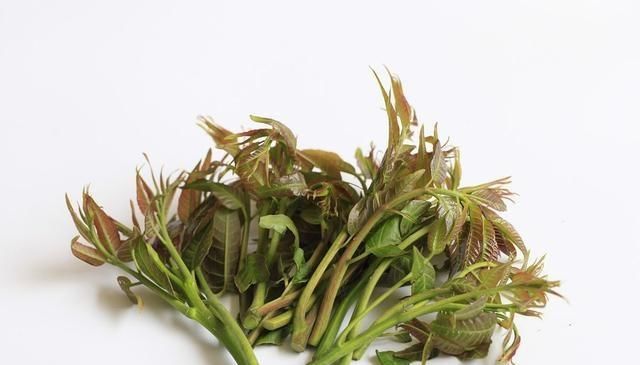  幸运|吃香椿时，你想要焯水？幸运的是，我早就知道了，再也不敢做了