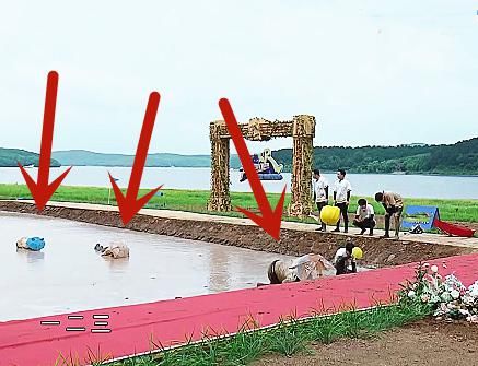  暴露|《奔跑吧》泥潭之战，曾舜晞脱口而出一句话，暴露嘉宾背后辛酸