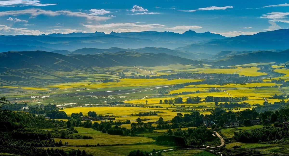 打败|打败张作霖的民国军阀，荣登《时代》封面第一人，晚年为何被毒杀