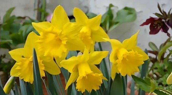 属相|8月开始横财滚滚来,事事顺心,美梦能成真的四大属相