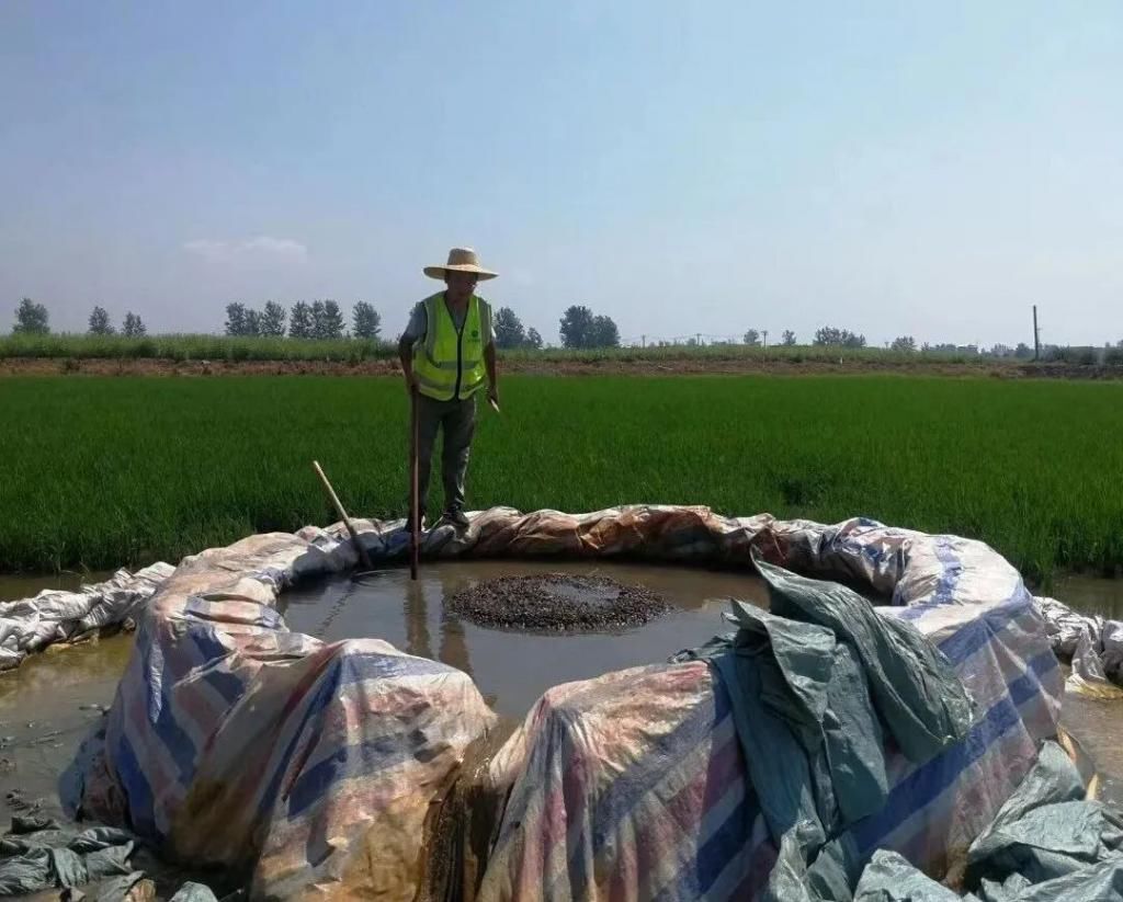  模式|最高40摄氏度！烧烤模式下江堤上的坚守……