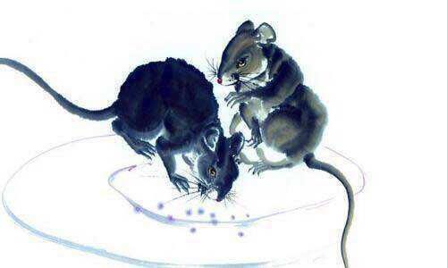 长乐|一家有这三大生肖，长寿长乐，家财不出门，三代能富贵