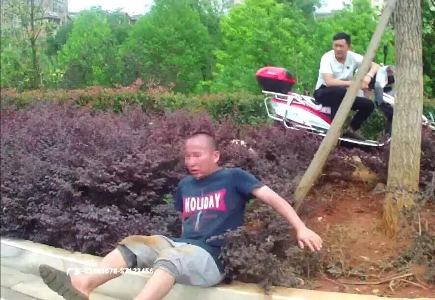  小精灵|不要作！致死率80%！为看“小精灵跳舞”，有人跃跃欲试，卖家急了