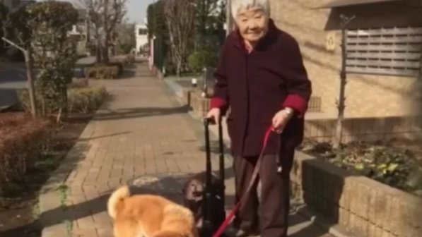  主人|19岁狗狗和主人都患上了“老年痴呆”，却在见面瞬间认出了彼此