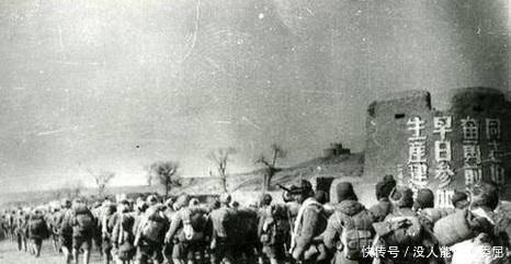 苏联|得到苏联提供的一份情报后，毛主席决定：向马家军发起进攻