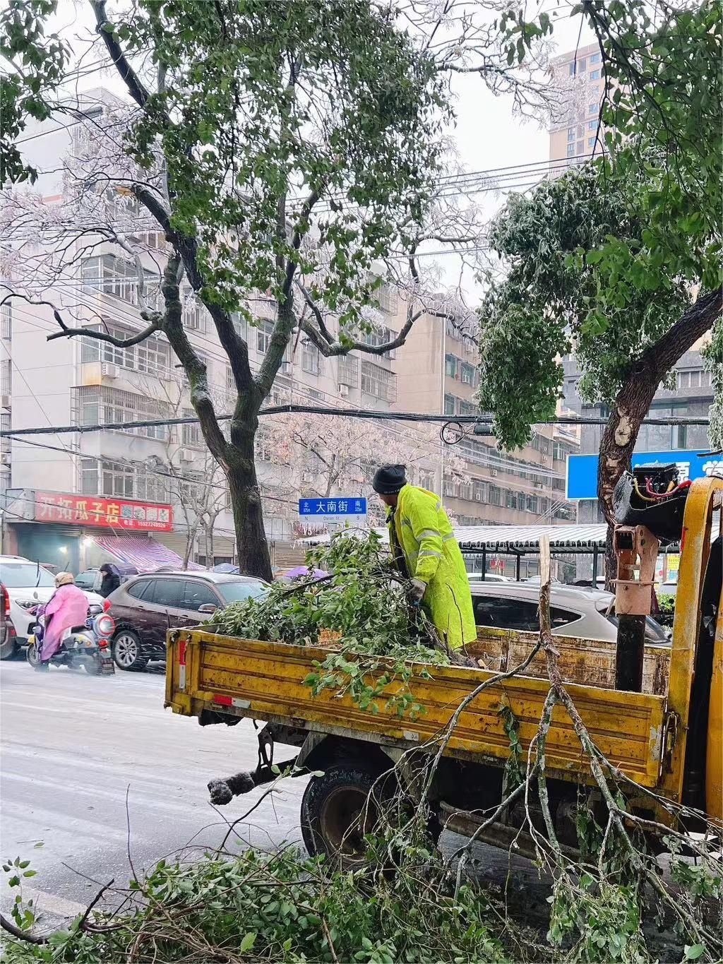 闻“雪”而动！ 武汉园林投入1500人处理道路绿化积雪