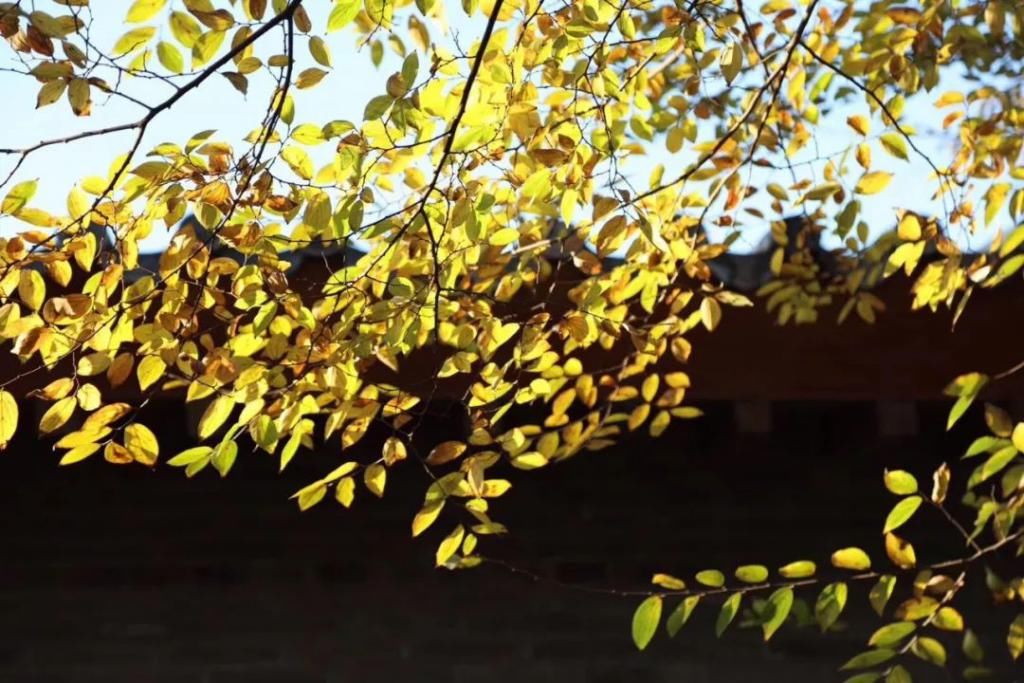  说走就走|旅行中的这些“奢侈品”，你具备了几件？