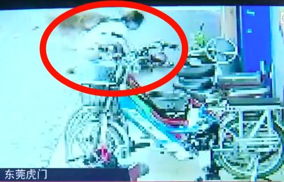  中招|警惕！已到高发季！有医院一天接诊119人，广东也有人中招