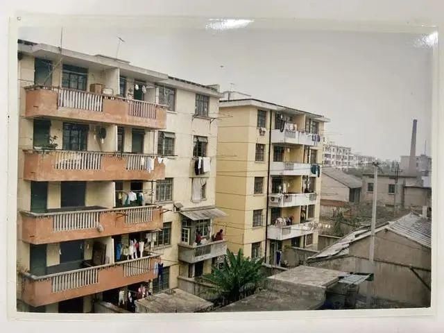  某某被杀案|26年、25年，谁都跑不掉！