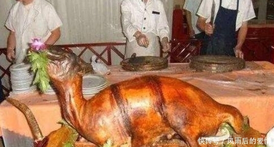 吓人|这4道菜已经被禁了,即使做出来你们不一定能吃得下,真的很吓人