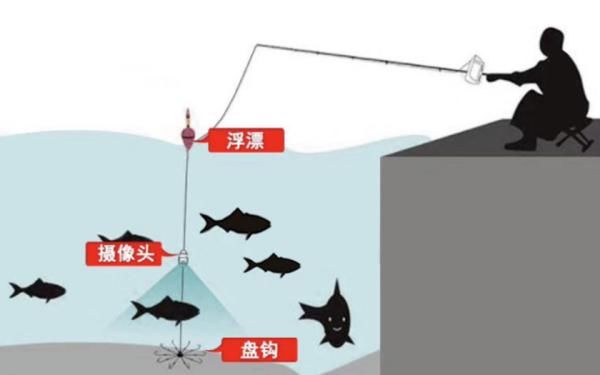 渔业资源|四川首例丨利用可视锚鱼器捕鱼，泸州男子被判刑