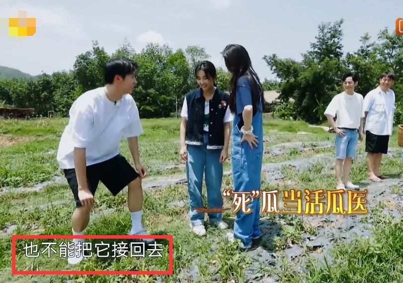  西瓜|许光汉也卖白痴人设了？摘掉未熟西瓜，何老师表情有内涵