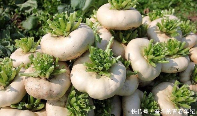 萝卜|常被误以为是萝卜的它,种植超2000年,成我国出口名菜