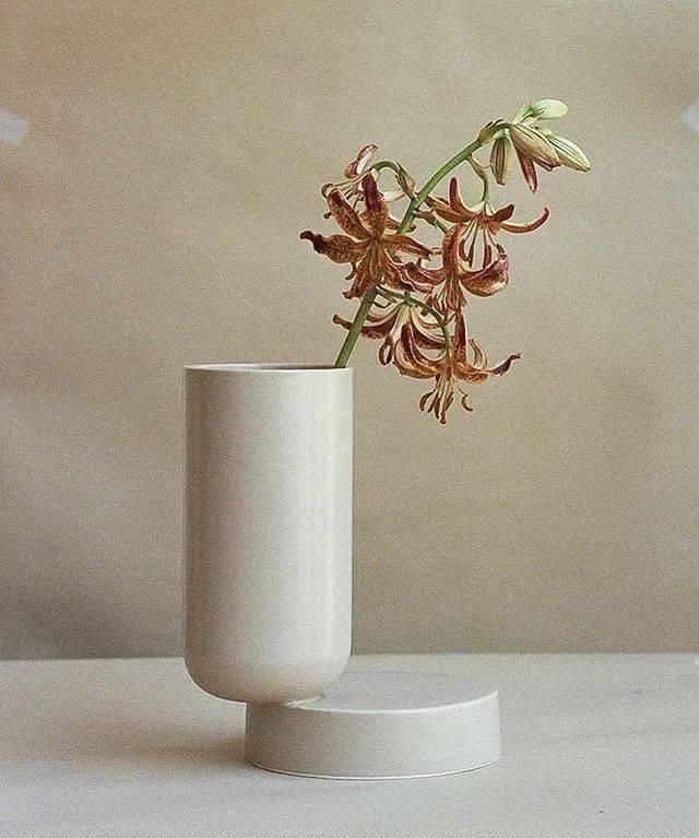  设计|“长得这么好看，花瓶就花瓶吧”