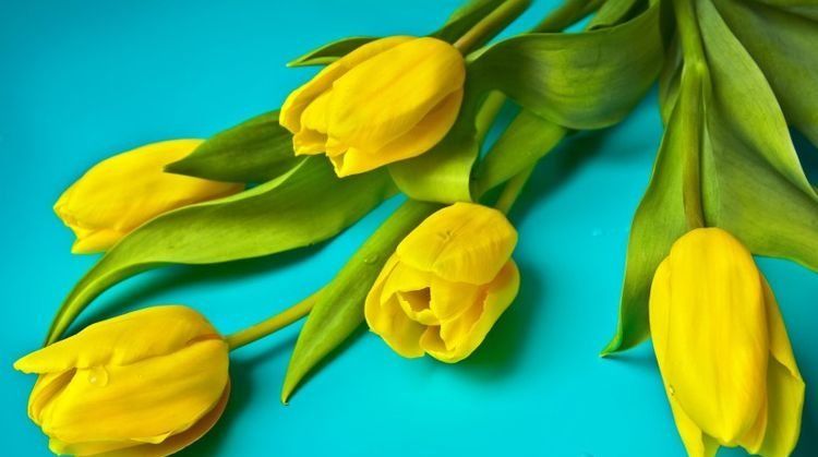 上旬|8月上旬, 深情被温柔以待的四生肖, 最美好的爱情会不期而遇