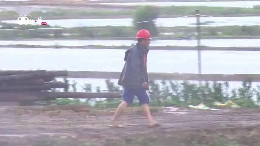 再次|第41天梅雨,水位再次刷新历史记录……