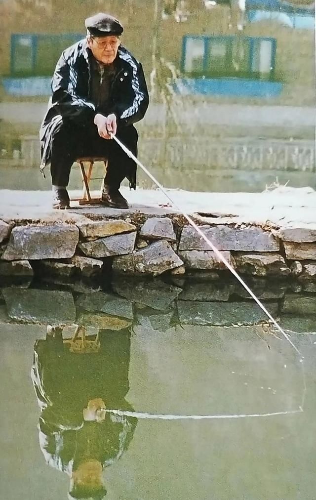  书籍|93岁时你会做什么？来看看蓝天野的朋友圈：有猫有狗、有书籍字画