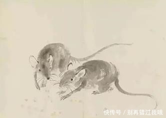 生肖|这三个生肖洪福齐天,财源滚滚,一辈子都不愁没花钱!