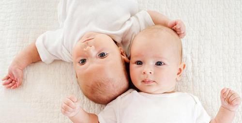  环境|双胞胎：同样的父母，同样的环境，为什么性格会不一样