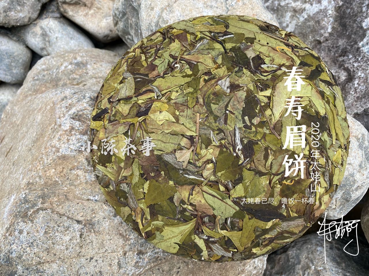 绿色|重金买回来的茶饼，是春寿眉还是白牡丹？懂行的人只看4点就够了