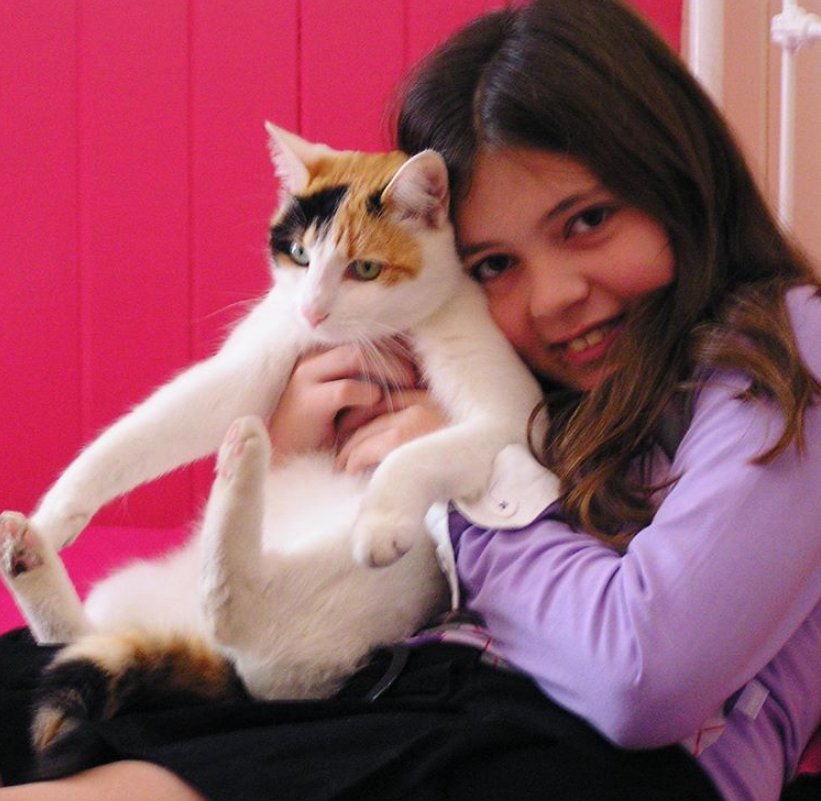 爸妈|爱猫身患癌症，女孩坚决让爸妈掏钱切它耳鼻，13年陪伴比钱重要