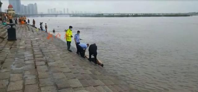  打捞|打捞出一具男尸，30-40岁，急寻死者家属