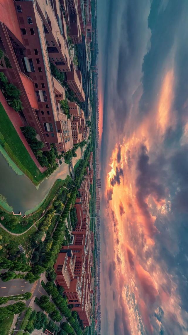 北洋园|啊,我的天大啊!