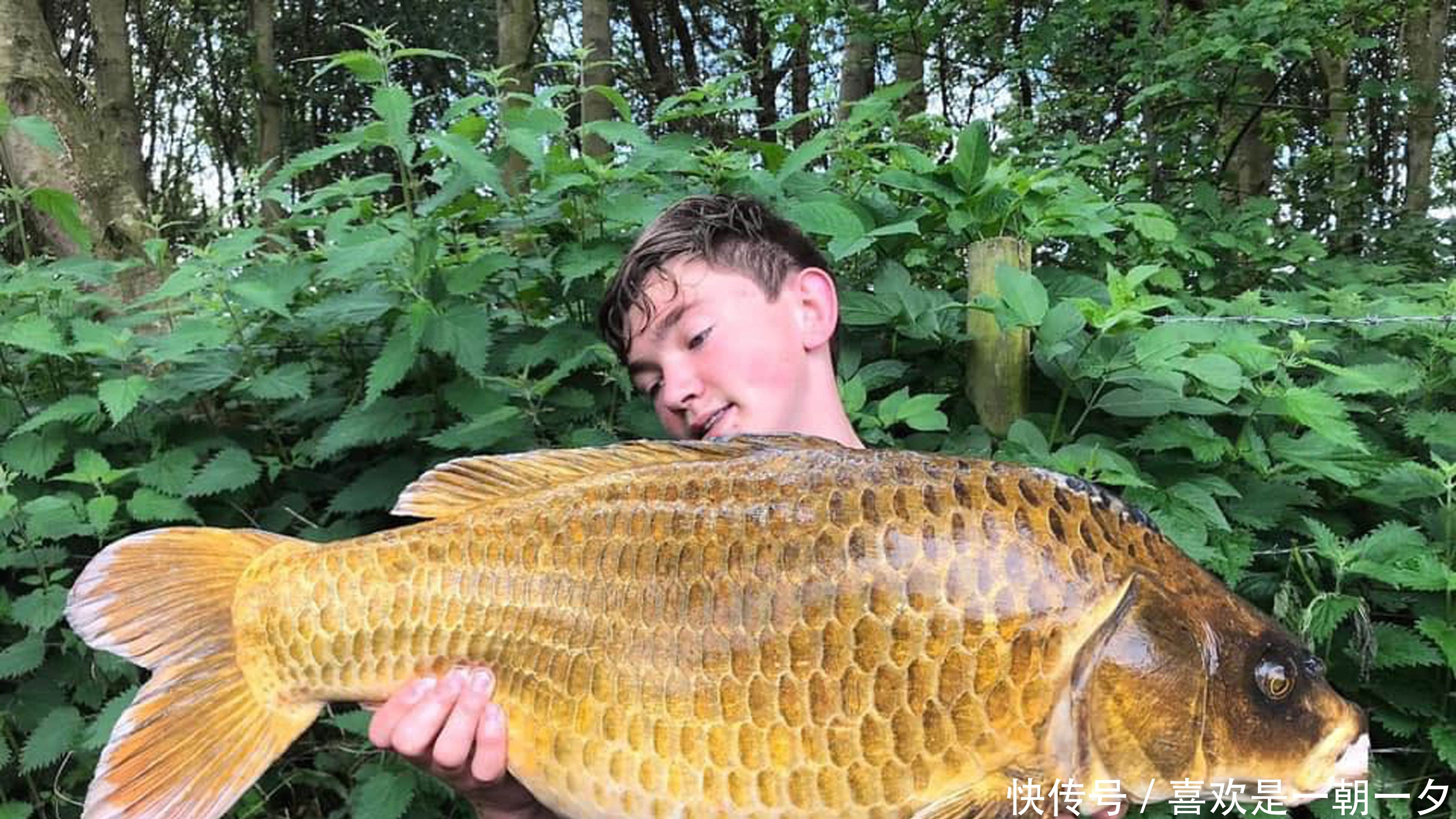 俗称|俗称“淡水鱼王”,曾是高档年货,如今7元无人问津,咋回事?