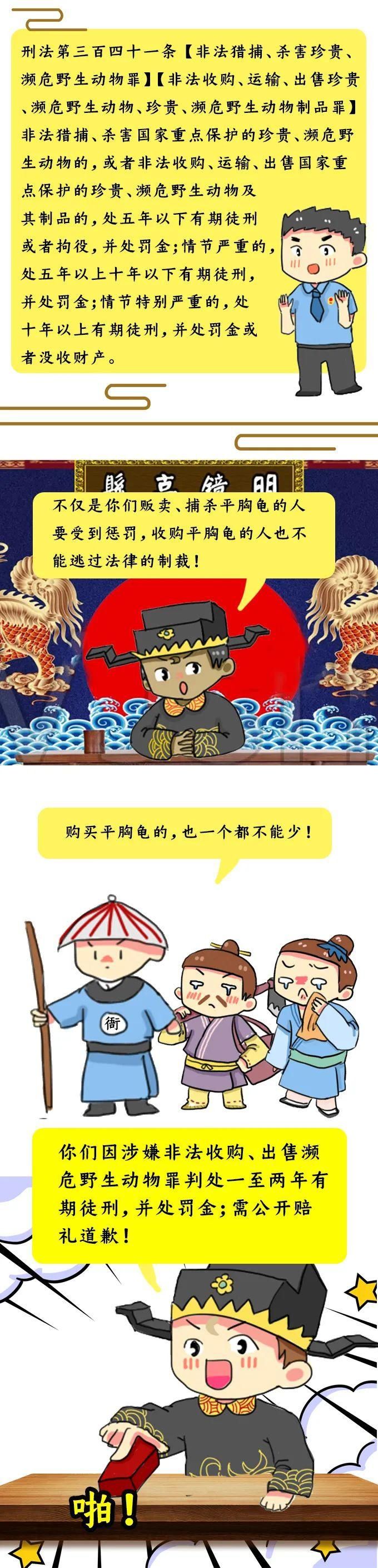 触犯|萌妞普法︱买龟?卖龟?触犯法律,铁定要亏!