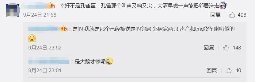  孵出来|男子网购“孔雀蛋”，结果孵出了鸭子！网友：商家没想到真能孵出来