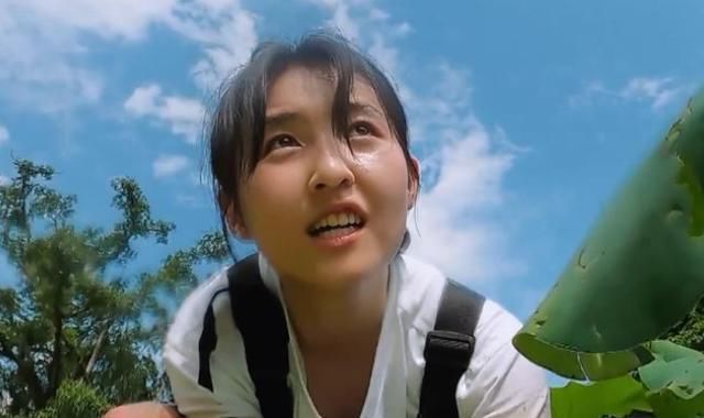  无奈|《向往的生活》嘉宾挖藕被吐槽作秀，官博无奈科普，没文化真可怕