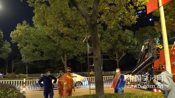 下不来|树上下不来、爬出窗外、车内被困…这3起出警都与孩子有关